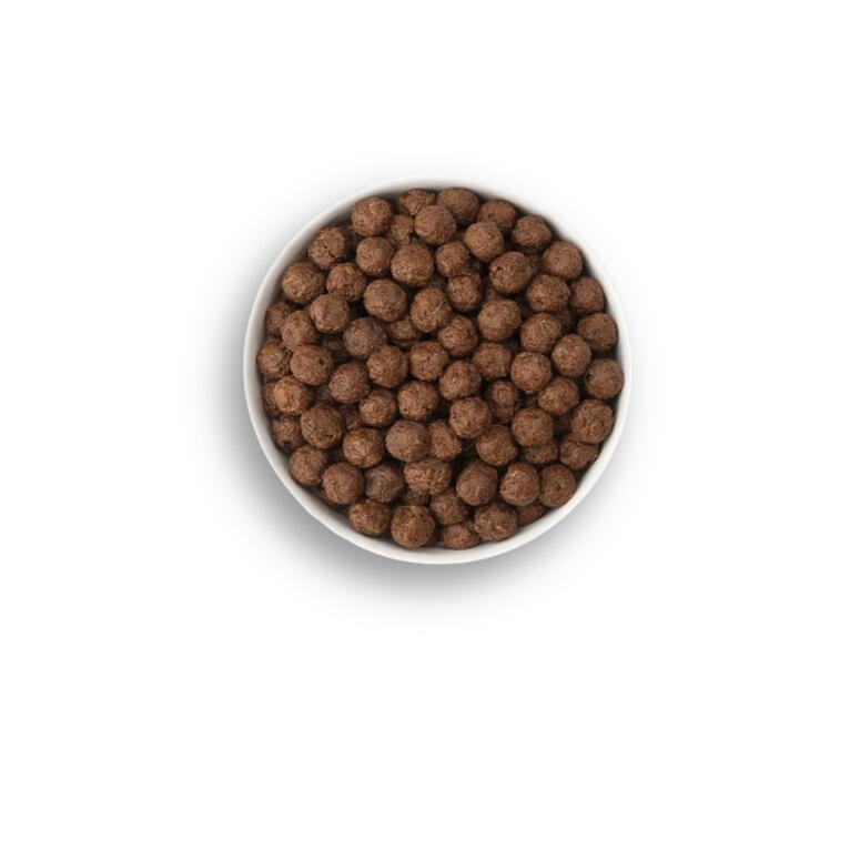 BOLCHOCO_1.jpg