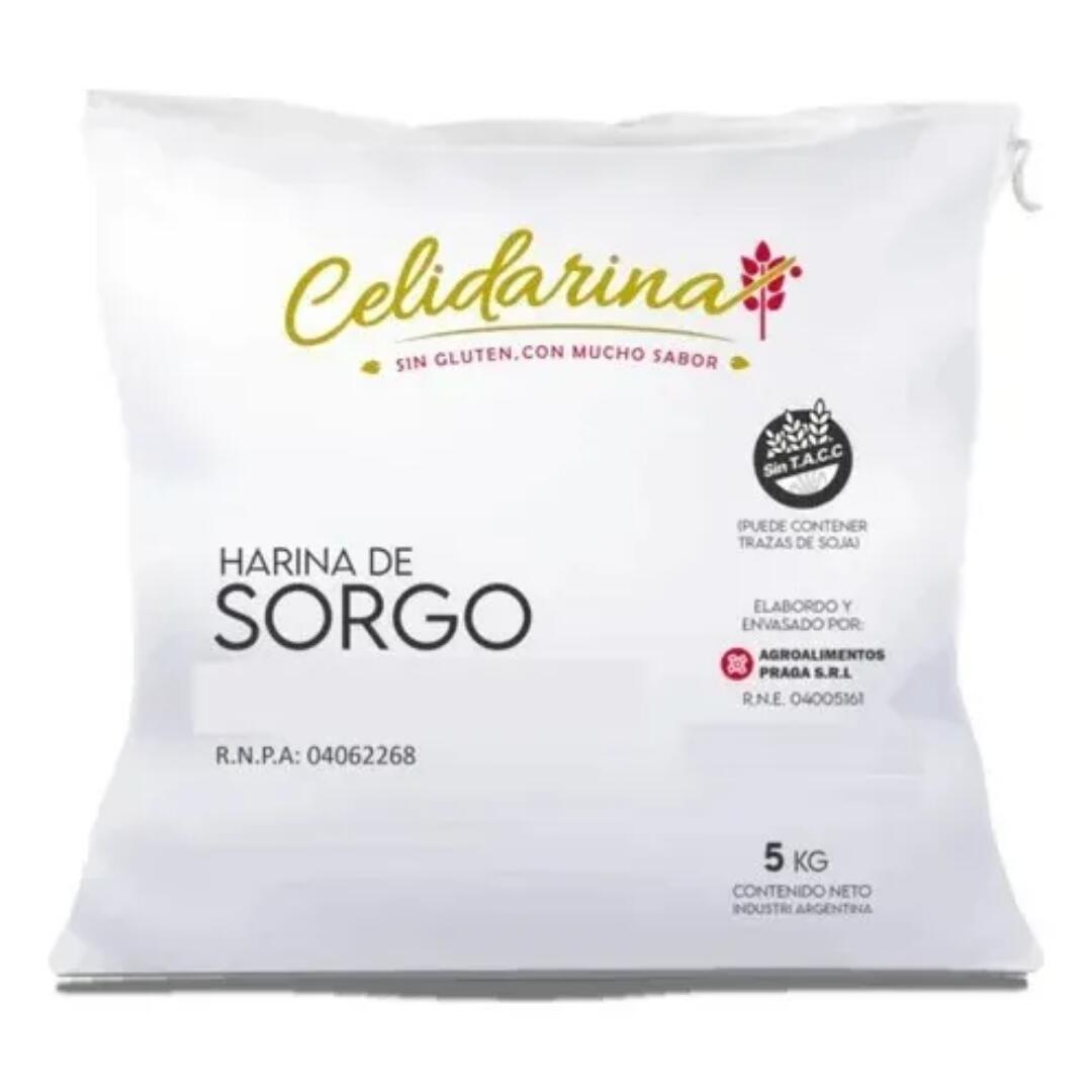CELHSORGO5_1.jpg