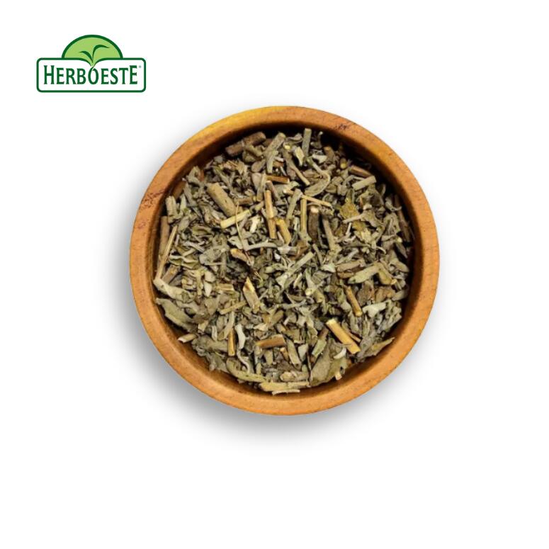 HERBOHIMPSALVIA_1.jpg