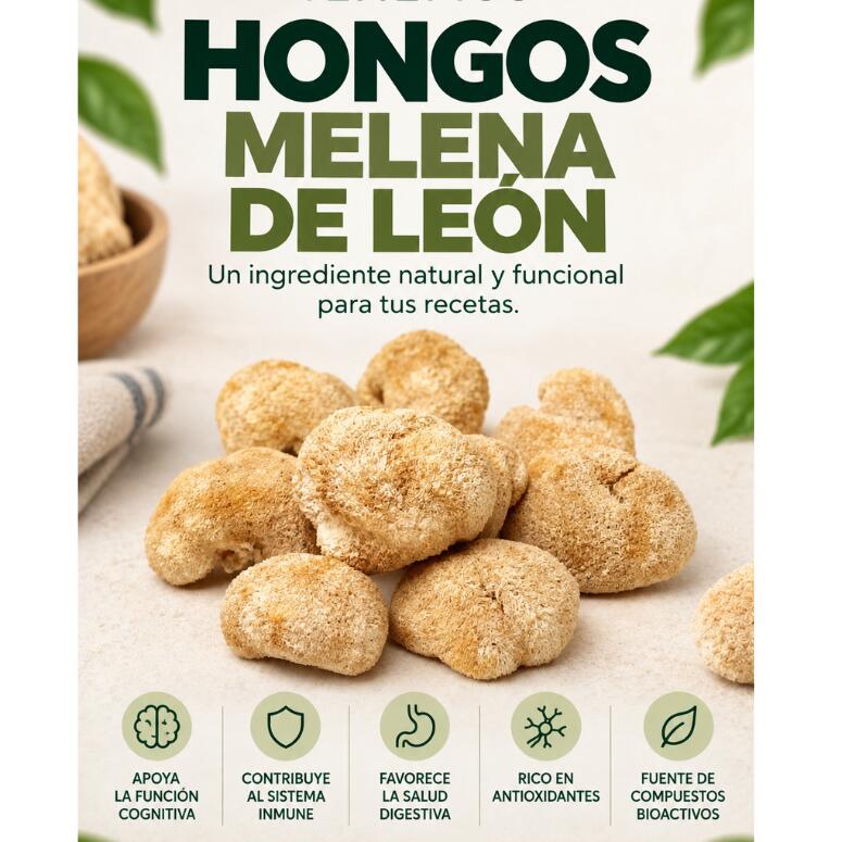 HERBOHONGML500_2.jpg