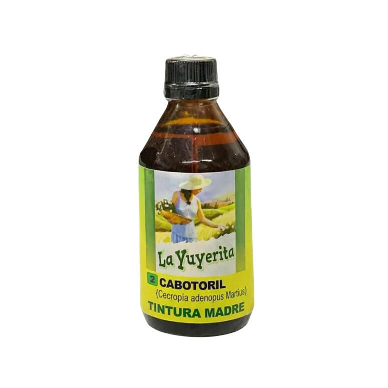 LYTINTCAB1_1.jpg