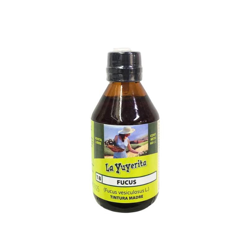 LYTINTFUCUS1_1.jpg