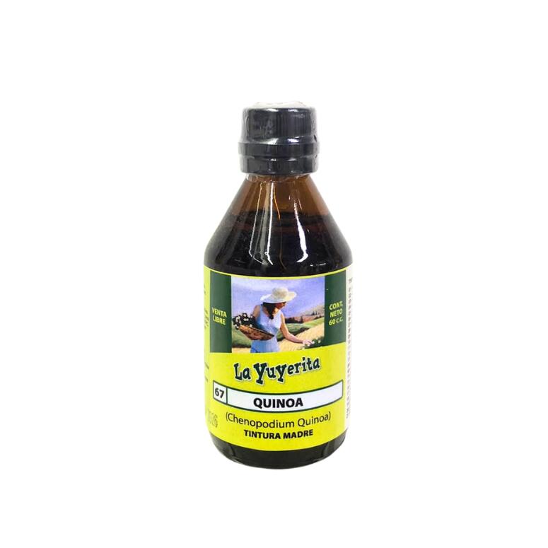LYTINTQUIN1_1.jpg