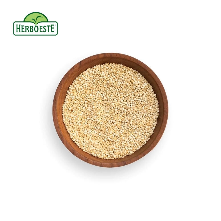 SEMQUINOA1_1.jpg