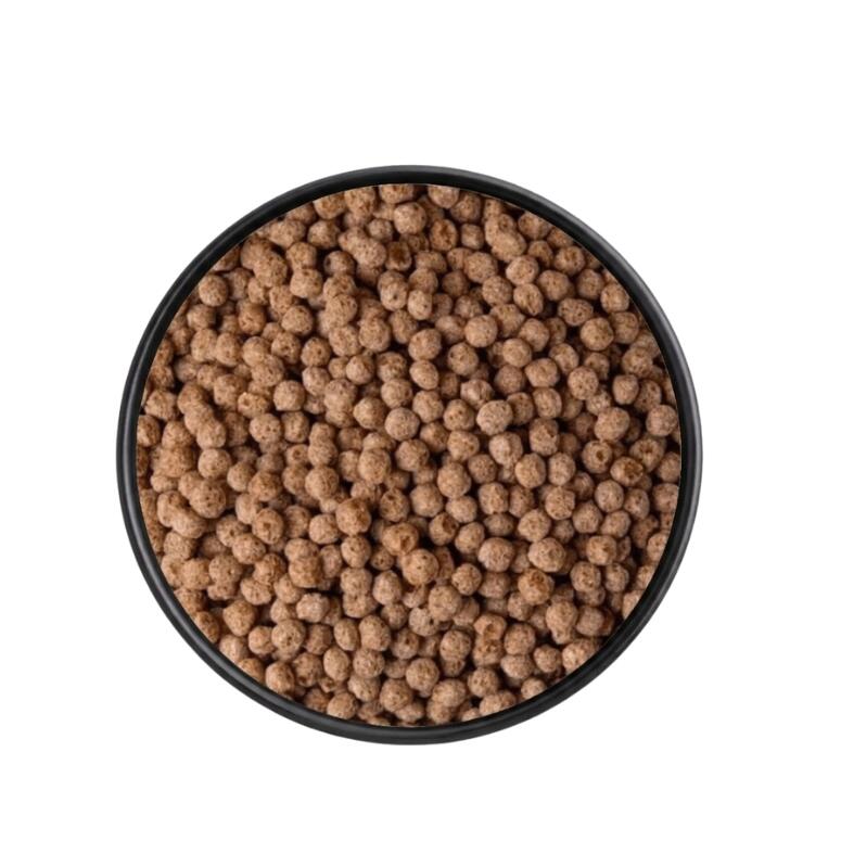 YINYINFLQUINALG_1.jpg
